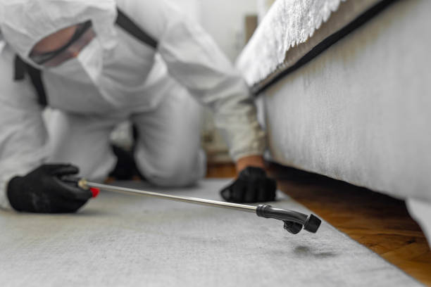 Professional Ant Control technician working in Biscayne Park, FL